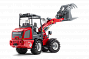 Weidemann 1880е